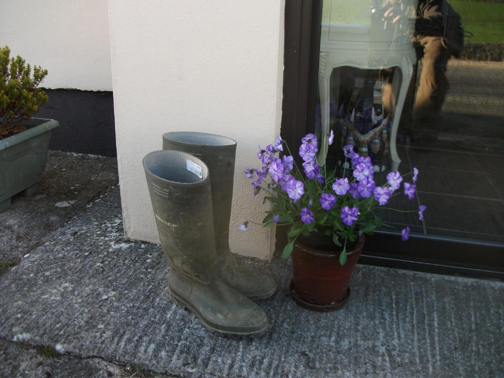 Riverdale Farmhouse Doolin Buitenkant foto